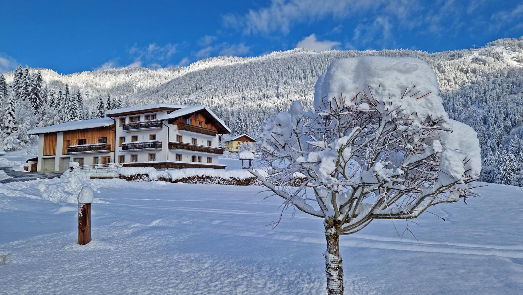 Apartment Moosgut Abtenau